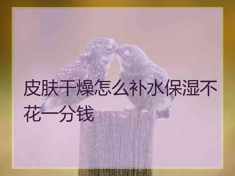 皮肤干燥怎么补水保湿不花一分钱