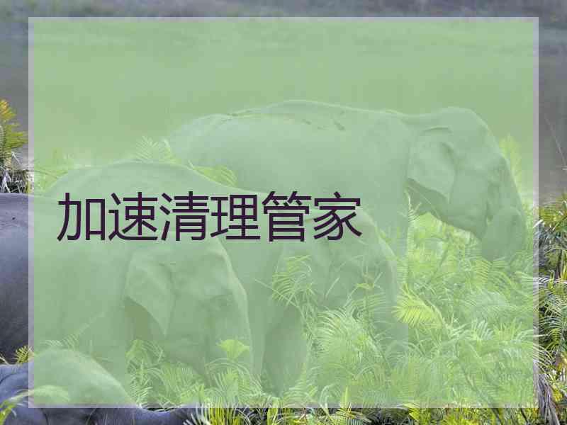 加速清理管家