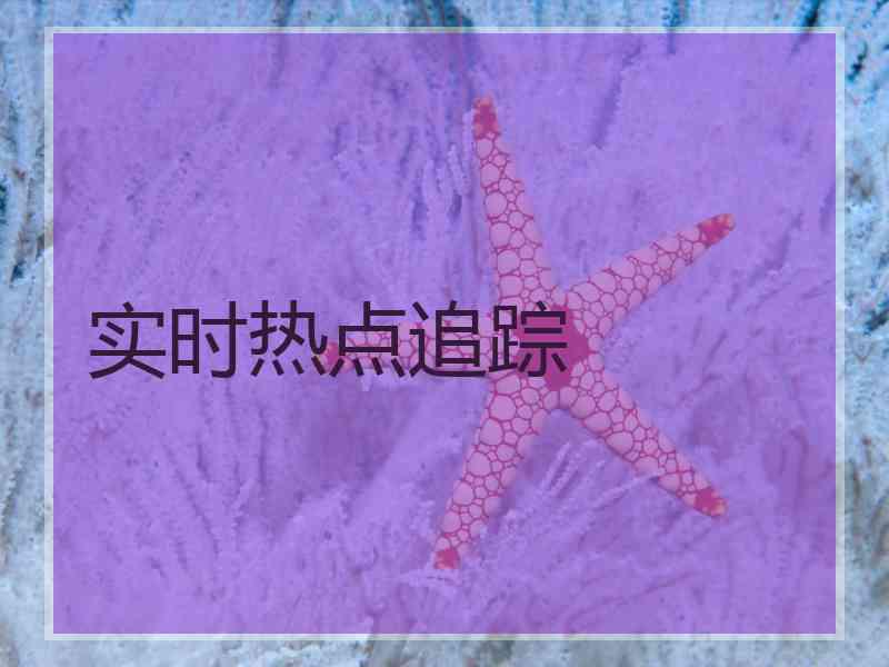 实时热点追踪