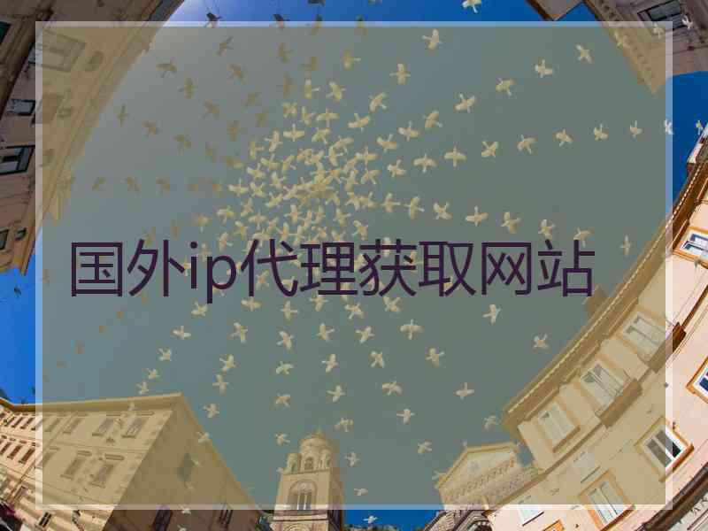 国外ip代理获取网站